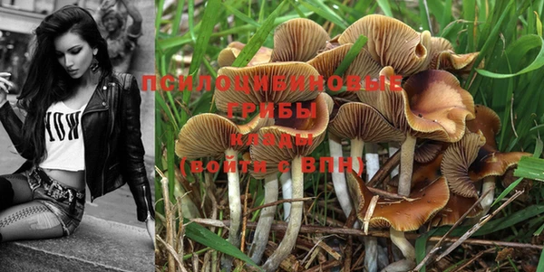 MDMA Premium VHQ Абаза