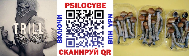 наркотики  Краснодар  Псилоцибиновые грибы прущие грибы 