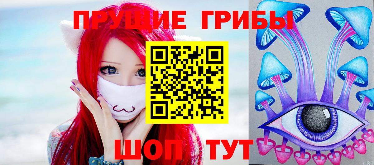 Галлюциногенные грибы Cubensis Краснодар