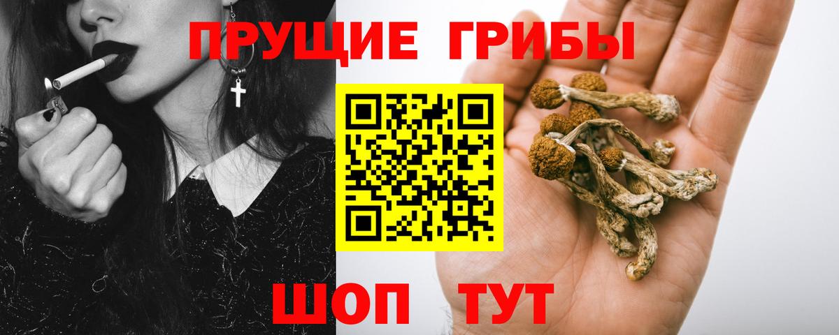 Галлюциногенные грибы ЛСД  Вход с VPN  Краснодар  Псилоцибиновые грибы Psilocybine cubensis 