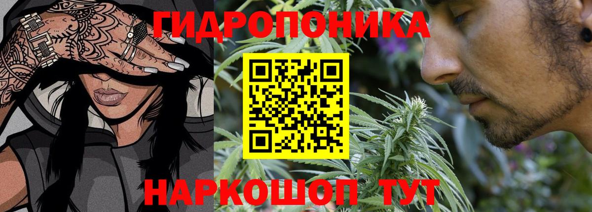 Бошки марихуана тримм  Вход с VPN  МАРИХУАНА тримм  Краснодар  Конопля индика 